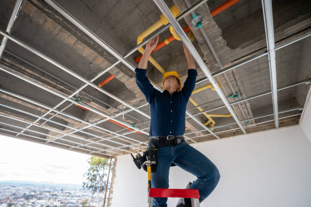 Best Clogged Drain Plumber  in Tallahassee, FL
