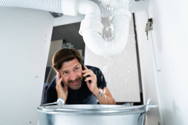 Best Septic Systems  in Tallahassee, FL